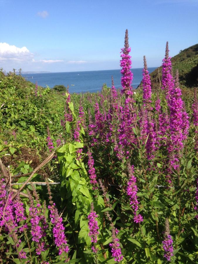Kerryanna Country House Bed And Breakfast Mevagissey Exterior foto